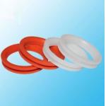 Customized Double Lips FKM Silicone Rubber Lip Seal