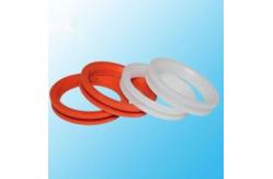 China Customized Double Lips FKM Silicone Rubber Lip Seal supplier