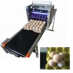 High Speed Egg Date Code Printing Machines With Continuous Spray Printing Function