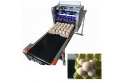 China High Speed Egg Date Code Printing Machines With Continuous Spray Printing Function supplier