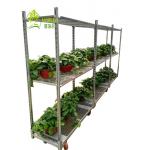 Hot Galvanized Greenhouse Carts Flower Trolley Danish Trolley Racks for sale