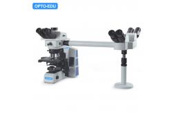 China Inclined 22mm Multi Viewing Microscope Opto-Edu A17.0950-3 supplier