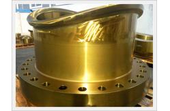 China Forged Nozzle Flange For Boiler And Heat Exchanger Application supplier