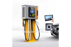 China CE CCS 30KW CHAdeMO Electric Vehicle DC Fast Charger supplier