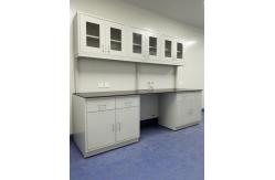 China College Steel Chemistry Lab Furniture / Laboratory Workbench With Reagent Shelves supplier