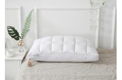China 74cm 240G Duck And Goose Feather Pillows Cotton Home Textiles supplier