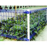 Pvc Coated Protection 5.0mm 2.8m Double Circle Fence for sale