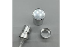China Premium Silver Perfume Pump Sprayer Chic Dispenser For Scents supplier