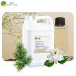 Fresh Woody Fragrance Oil Perfume Luxury Body Perfume for sale