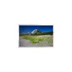 P270QAN02.0 CELL 27.0 inch LCD Panel Screen FOR Digital Signage for sale