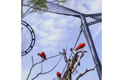 China Flexible Stainless Steel Rope Mesh / Wire Rope Net For Bird Aviary supplier