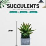 Plastic Artificial Plants Succulents Wedding Indoor Decorative for sale