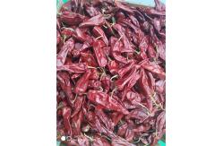 China New Crop Yidu Dried Chili With Stem HACCP Certification supplier