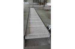 China                  Curve Plastic Modular Belt Transfer Bottles Food Factory Chain Washing Power Belt              supplier