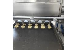 China Professional Chocolate Chip Cookies Making  Machine for different shapes supplier