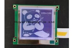 China 160*160 FSTN LCD Module Graphic Customized Display Screen With UC1698U supplier