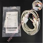 PHiliph PW TC20 10 Lead Patient Cable IEC 989803175891 For Pediatric Adult for sale