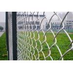 Sustainable  Pvc Coated Chain Link Fence Easily Assembled for sale