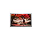 AA084XD01ADA11 display TFT LCD screen panel 8.4 inch 1024*768 LCD Module for sale