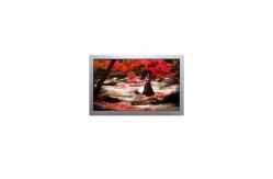 China AA084XD01ADA11 display TFT LCD screen panel 8.4 inch 1024*768 LCD Module supplier