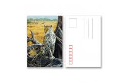 China Durable 3D Lenticular Card Plastic Card For Traveller Gift supplier
