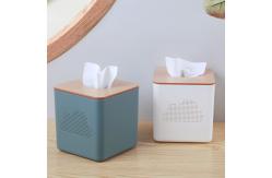 China H10.3cm Household Polystyrene Paper Towel Holder Box supplier