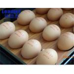Different Leadjet Continuous Inkjet Printer / Egg Inkjet Printer With Different Micron Nozzles