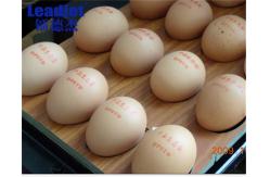 China Different Leadjet Continuous Inkjet Printer / Egg Inkjet Printer With Different Micron Nozzles supplier