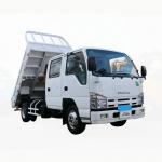 ISUZU 4X2 Dumper Tipper Truck Back Flip Dump Side Dumper Highway Transportation