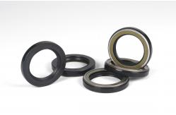 China N0K Oil Seal TCN Fkm Oil Seal AP3409 FKM Metal NBR Seal Ring supplier