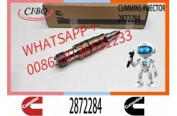 China High Quality Diesel Fuel Injector 4326959 2872284 2897320 2872544 supplier