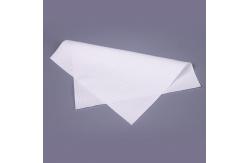 China Two Ply Sterile Cleanroom Wipes Polyester Knit Continuous Filament Lint Free Wet Wipes supplier