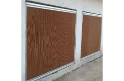 China Paper Poultry Environmental Control System 15cm / 18cm Poultry House Cooling Pad supplier