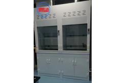 China 1 Year Horizontal Chemical Fume Hood With Scrubber for Efficient Ventilation supplier