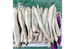 China Industrial Automatic Eggplant Cabbage Fruit and Vegetable Splitting Machine supplier