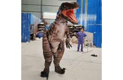 China Customization Animatronic Dragons With Spray Smoking Effect Lighting Effects supplier