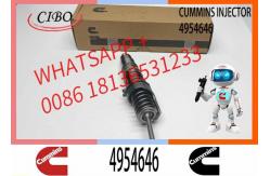 China Remanufactured High Quality Common Rail Diesel Fuel Injector 4954645 4954646 supplier
