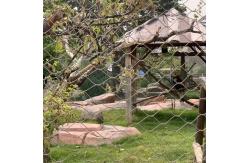 China Stainless Steel Wire Rope Mesh Net Outdoor Aviary Netting Protecting Mesh supplier