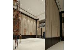 China Acoustic Sliding Folding Partition Walls On Wheels / Meeting Room Partition Walls supplier
