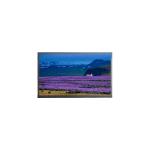 N156HGE-EA1 1920*1080 15.6 inch eDP LCD Screen FOR Laptop for sale