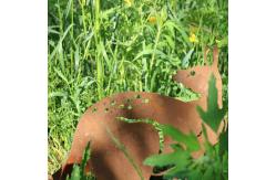 China Corten Steel Yard Metal Embellishments Opossum Shape Easy To Install supplier