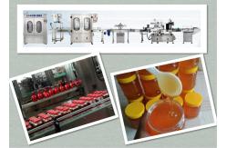 China Enengy Saving Honey Production Line  No Pollution Easy To Operate supplier