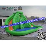 CE / UI Green Bouncy Inflatable Slide Water Jumper With Swimming Pool