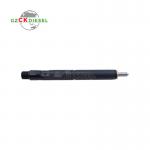 Diesel Fuel Injector EJBR04001D 166009384R for Delphi Engine