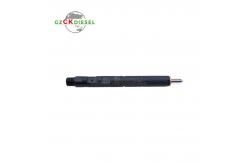 China Diesel Fuel Injector EJBR04001D 166009384R for Delphi Engine supplier