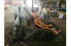 China Customized Sponge Haunted House Props Create Unforgettable Experience supplier