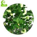2021 Competitive Price And High Quality Artificial Flower Tree Artificial Camellia Tree