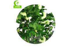 China 2021 Competitive Price And High Quality Artificial Flower Tree Artificial Camellia Tree supplier