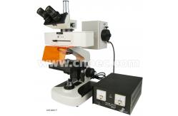 China Binocular / Trinocular 1000x Fluorescence Microscope with Halogen Lamp A16.0301 supplier