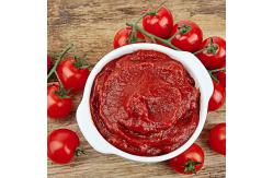 China Automatic Tomato Processing Line For Paste Making 110V supplier
